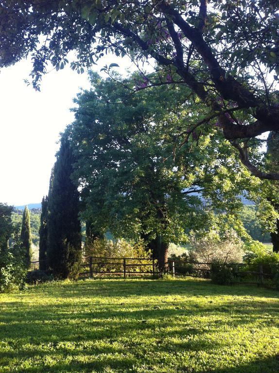 Villa Toscana Podere Poggiosecco 切托纳 外观 照片